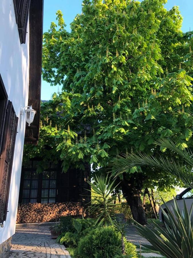 Echo Apartman Tihany Exteriör bild